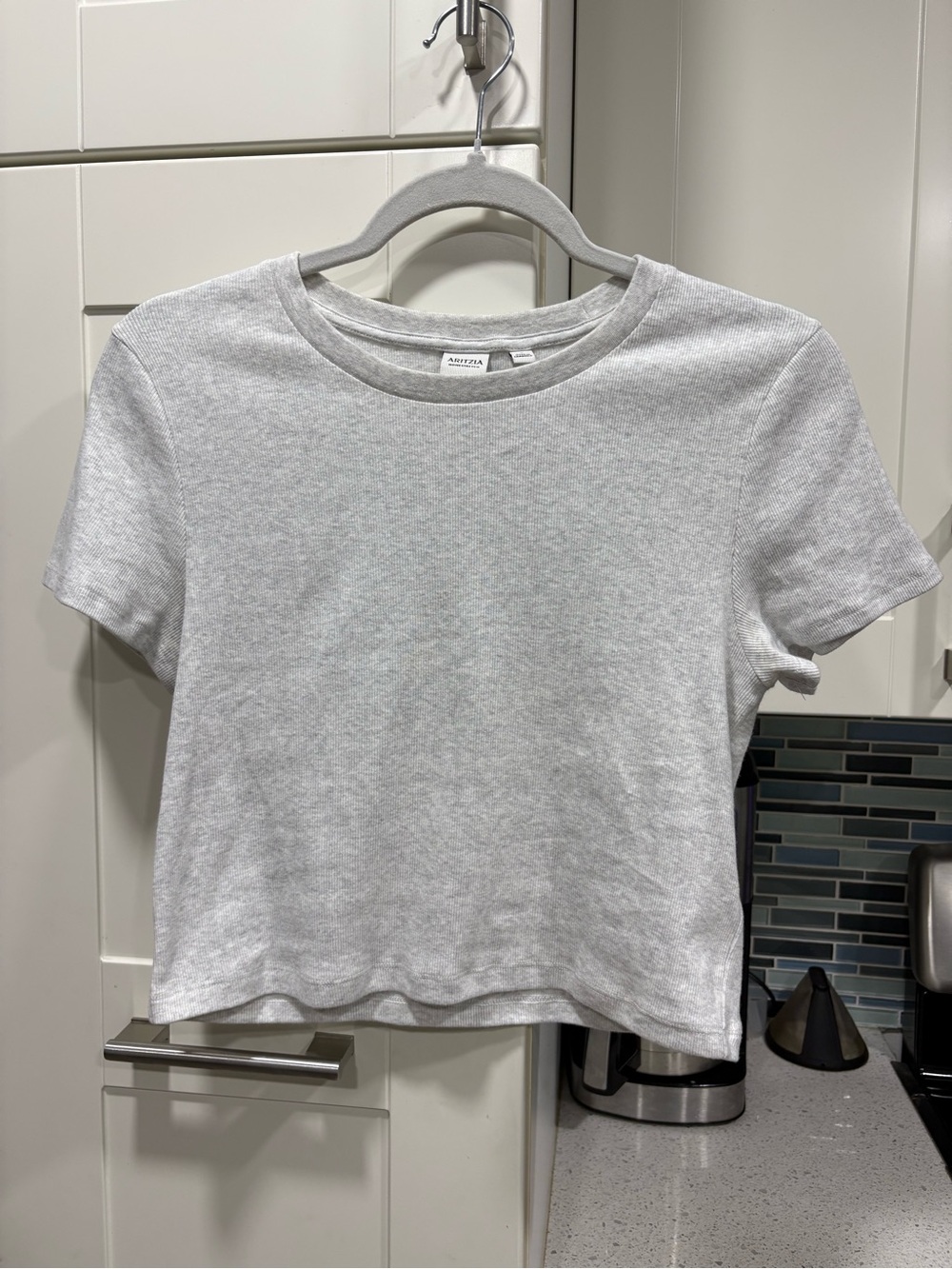 Aritzia HomeStretch™ Rib Tune Waist T-Shirt